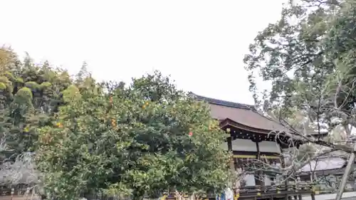 平野神社(京都府)