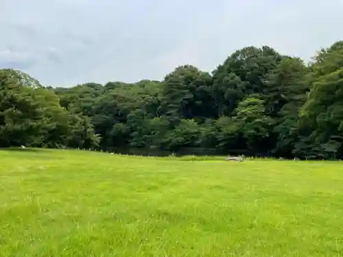 明治神宮(東京都)