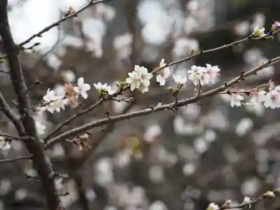 久遠寺(山梨県)