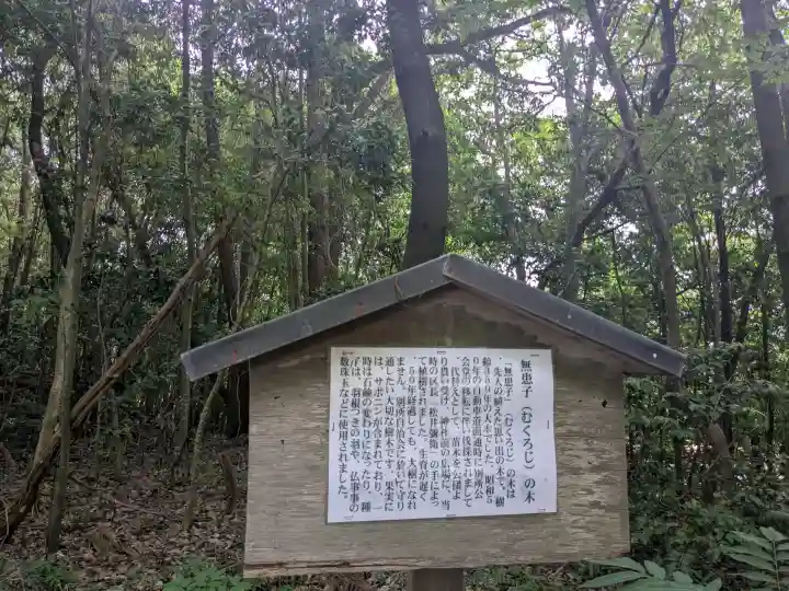 虎御前神社の{uncategorized: "未分類", other: "その他", undefined: "問題あり", building: "その他建物", grave: "お墓", sacred_gate: "鳥居", guardian: "狛犬", statue: "像", buddha: "仏像", history: "歴史", nature: "自然", garden: "庭園", animal: "動物", pagoda: "塔", temizu: "手水舎", mountain_gate: "山門・神門", sanctuary: "本殿・本堂", subordinate: "末社・摂社", art: "芸術", scenery: "景色", jizo: "地蔵", ema: "絵馬", goshuin: "御朱印", omikuji: "おみくじ", items: "授与品その他", amulet: "お守り", goshuincho: "御朱印帳", eats: "食事", festival: "お祭り", votive_dance: "神楽", shichigosan: "七五三参", wedding: "結婚式", experience: "体験その他", initially: "初詣", around: "周辺", anti_infection: "感染症対策"}