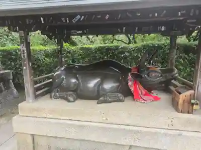 北野天満宮(京都府)