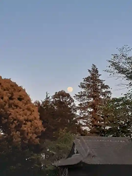 伏木香取神社の自然