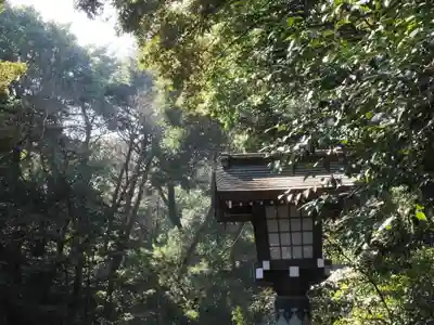 明治神宮(東京都)