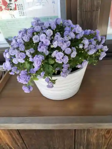 琴似神社(北海道)