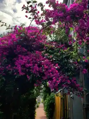 本郷氷川神社(東京都)