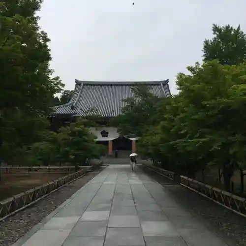  智積院の本殿・本堂