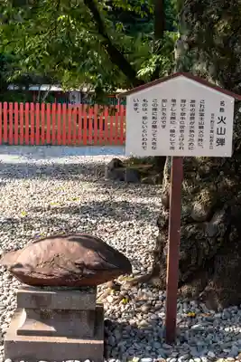 富士山本宮浅間大社(静岡県)