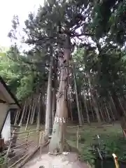 黒川神社(宮城県)