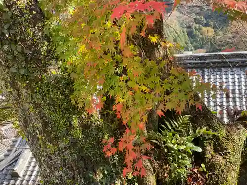 長谷寺(奈良県)