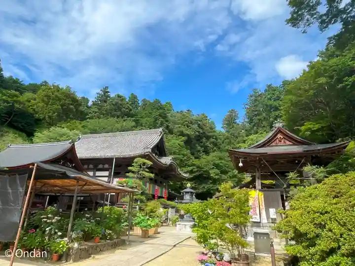 岡寺(龍蓋寺)(奈良県)