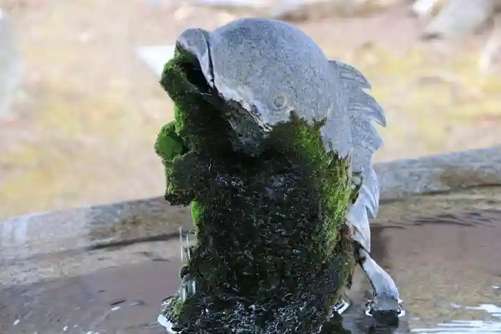 神炊館神社 ⁂奥州須賀川総鎮守⁂の手水舎