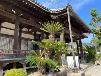 妙道寺(兵庫県)