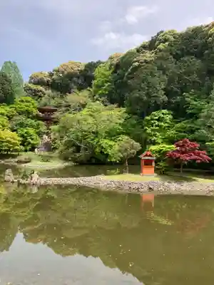 浄瑠璃寺(京都府)