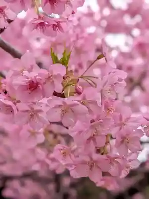 新宿下落合氷川神社(東京都)