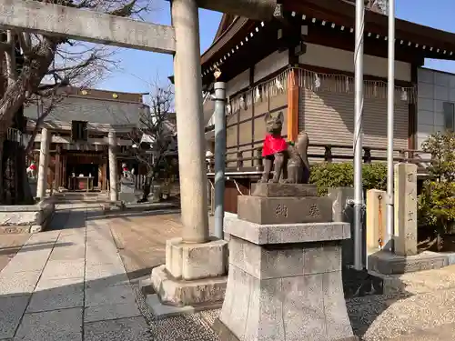 飛木稲荷神社の狛犬