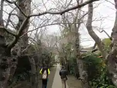 極楽寺（霊鷲山感應院極楽律寺）の建物その他