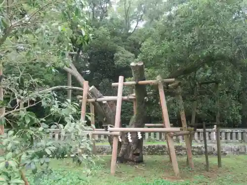 三嶋大社の自然