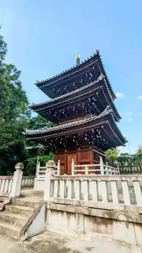 金蔵寺の塔