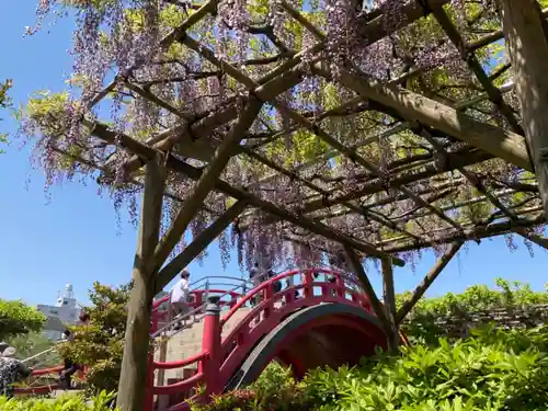 亀戸天神社の自然