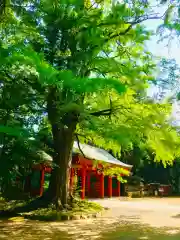 香取神宮の建物その他