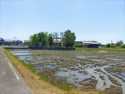 素盞烏社(桴場)の自然