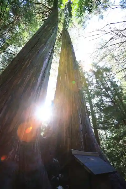 三峯神社(埼玉県)
