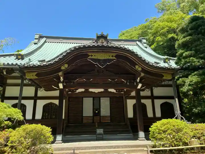 妙本寺の{uncategorized: "未分類", other: "その他", undefined: "問題あり", building: "その他建物", grave: "お墓", sacred_gate: "鳥居", guardian: "狛犬", statue: "像", buddha: "仏像", history: "歴史", nature: "自然", garden: "庭園", animal: "動物", pagoda: "塔", temizu: "手水舎", mountain_gate: "山門・神門", sanctuary: "本殿・本堂", subordinate: "末社・摂社", art: "芸術", scenery: "景色", jizo: "地蔵", ema: "絵馬", goshuin: "御朱印", omikuji: "おみくじ", items: "授与品その他", amulet: "お守り", goshuincho: "御朱印帳", eats: "食事", festival: "お祭り", votive_dance: "神楽", shichigosan: "七五三参", wedding: "結婚式", experience: "体験その他", initially: "初詣", around: "周辺", anti_infection: "感染症対策"}