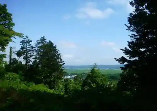 玉川神社の景色