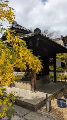 勝林寺(京都府)