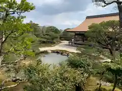 仁和寺の庭園