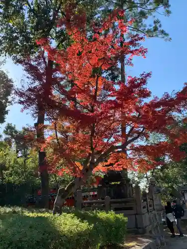 伏見稲荷大社(京都府)