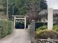 氷川神社の鳥居