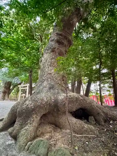 船江上社(三重県)