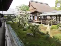 大覚寺の建物その他