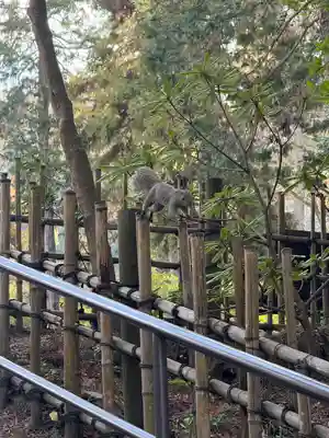円覚寺(神奈川県)
