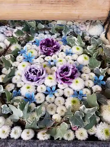 高円寺氷川神社の手水舎