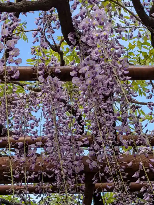 愛染院(東京都)