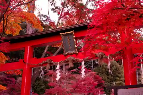 大原野神社(京都府)
