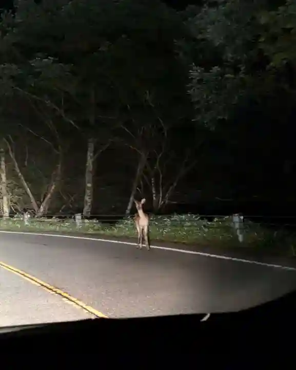 赤薙山神社(栃木県)