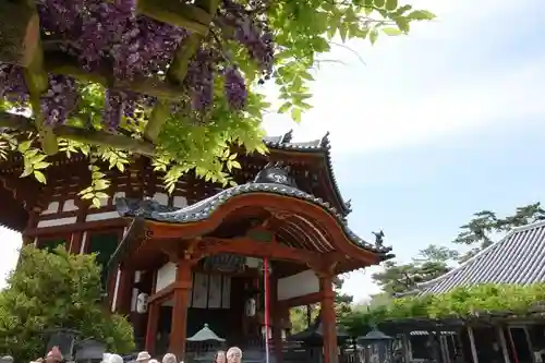 興福寺のその他建物