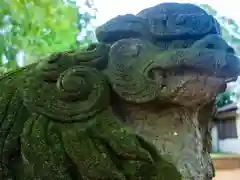 青砥杉山神社の狛犬