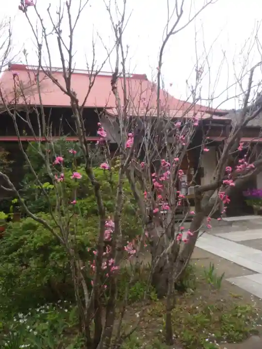 向福寺のその他建物