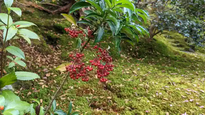 霊鑑寺門跡(京都府)
