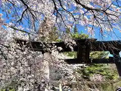 山家神社の自然