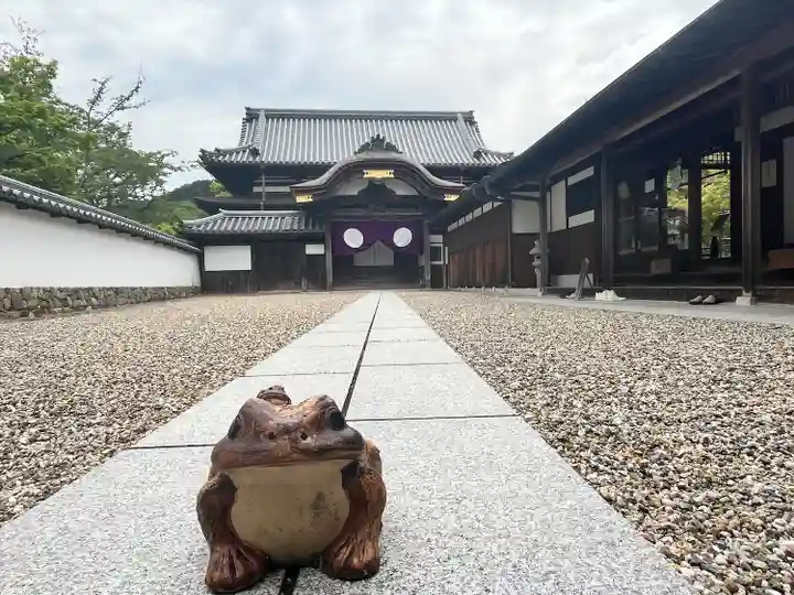 金剛寺(大阪府)