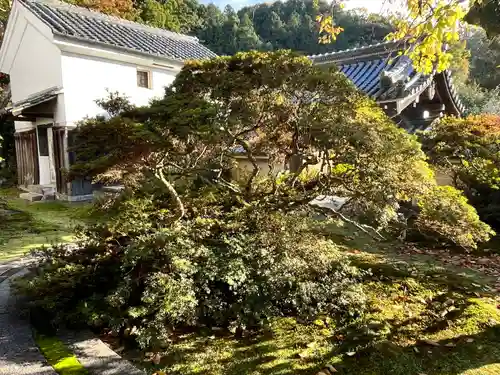 弘川寺(大阪府)