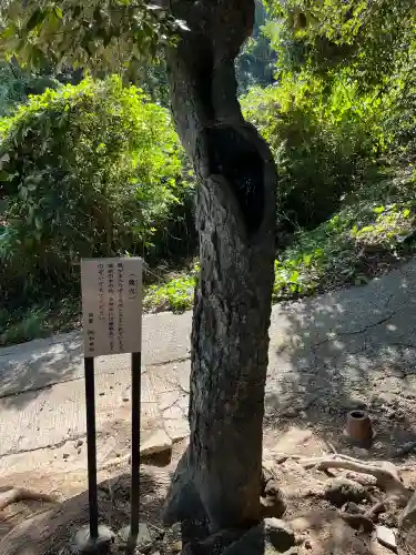 八幡竃門神社(大分県)
