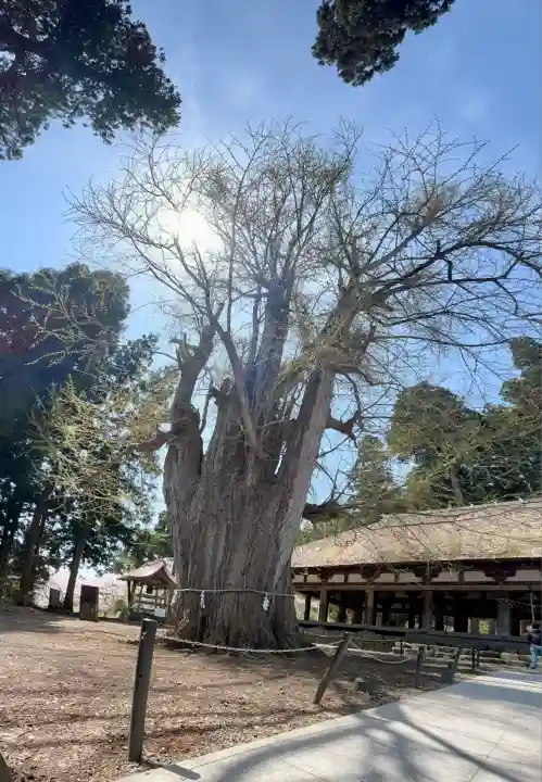 新宮熊野神社(福島県)