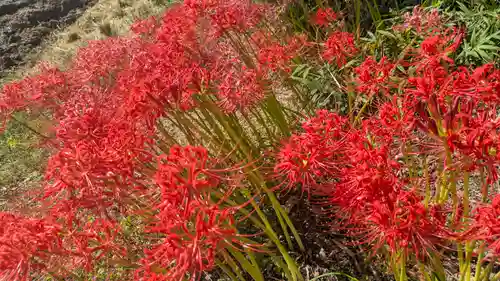 水主神社・樺井月神社・衣縫神社(京都府)