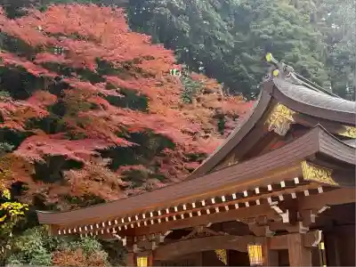 高麗神社(埼玉県)